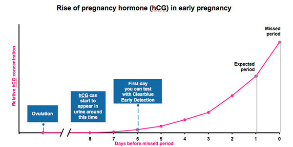 Αύξηση της ορμόνης της εγκυμοσύνης (hCG) στην πρώιμη εγκυμοσύνη